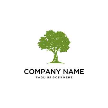 Illustration silhouette large lush oak tree growth vintage logo design 