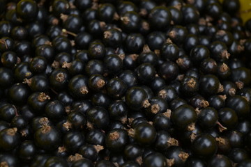 Black current texture. Organic berries background. 