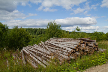 Fototapeta na wymiar logging logs on road
