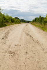 Road in  forest tire prints