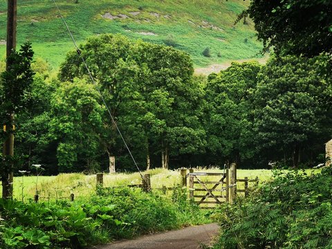 Countryside In The Forest Of Bowland In Lancashire 