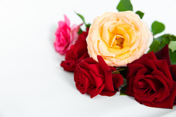 beautiful Colorful bouquet of rose flowers isolated on white background, soft focus, copy space.