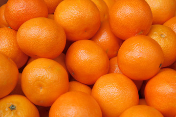 Tangerine harvest. Mandarine close up	