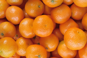 lots of fresh mandarin as background