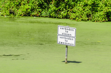 Sign on a pond covered with pondweed, warning people not to swim or fish, The Hague, Netherlands.