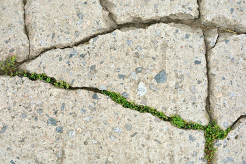 Cracked rural asphalt road background texture