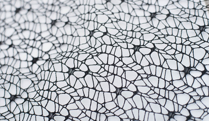 halloween, decoration and horror concept - ecoration of artificial spider web over white background