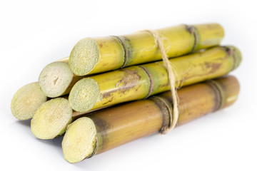 Sugar cane, brazilian, cane, piece of cane, fresh, sugar cane, white, background, cane, fresh. Plant used in the production of fuel. White background.