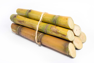 Sugar cane, brazilian, cane, piece of cane, fresh, sugar cane, white, background, cane, fresh. Plant used in the production of fuel. White background.
