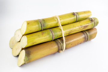 Sugar cane, brazilian, cane, piece of cane, fresh, sugar cane, white, background, cane, fresh. Plant used in the production of fuel. White background.