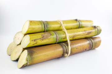 Sugar cane, brazilian, cane, piece of cane, fresh, sugar cane, white, background, cane, fresh. Plant used in the production of fuel. White background.