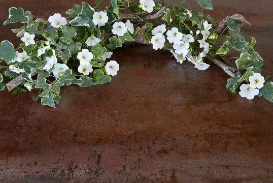 Bumenarrangement mit Efeu und Petunien