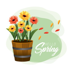 spring beautiful flowers plants with leaves