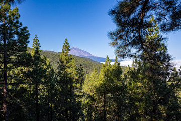 Ausblick zum Teide