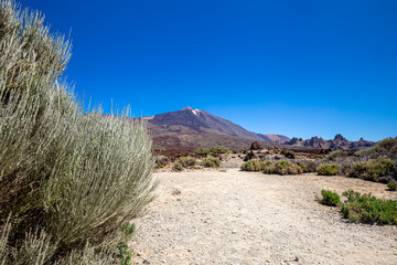 Teide Nationalpark auf Teneriffa