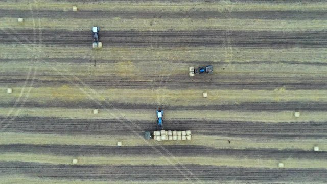 Aerial: Haymaking. Tractor collecting round bales of hay and loaded to truck. Agricultural Footage On the Field.