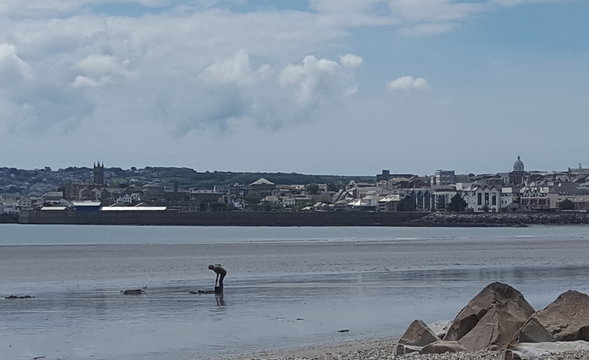 Low tide - Bait Digger