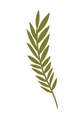 Fototapeta premium branch with leaves isolated icon