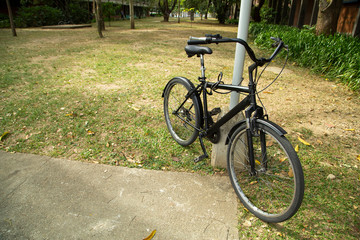 Fototapeta na wymiar City bike parked at the university