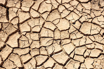 Cracks of the dried soil background
