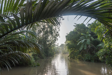 Boat trip in the Mekong Delta 2