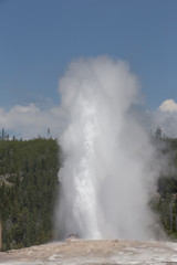 Yellowstone geyser