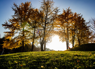 Herbst im Olympiapark