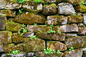 old stone wall with moss