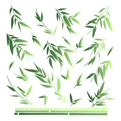 Fototapeta premium Bamboo branches isolated on white background. Vector illustration.