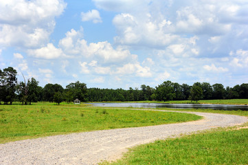 Obraz premium Oasis in the Country