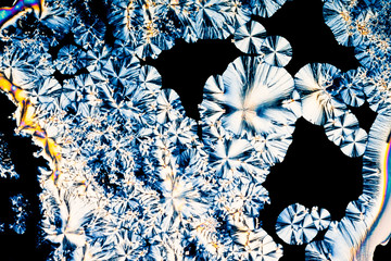 Ascorbic acid crystals in polarized light