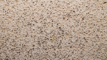 The porous texture of pumice.Background of porous pumice.