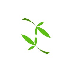 Bamboo Leaf logo design vector