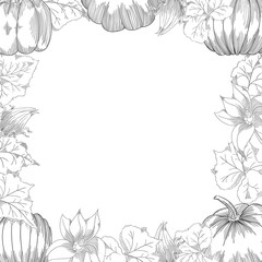 Obraz premium Pumpkin frame vector drawing set. Isolated hand drawn object with sliced and leaves.