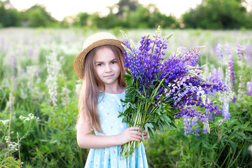 Fototapeta premium Closeup portrait of a little girl in a field of lupins. Girl holding a bouquet of purple flowers in the background of a field of lupins. Photo of summer wildflowers. concept of childhood. Copy space. 
