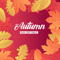 Autumn sale background layout decorate with leaves for shopping sale or promo poster and frame leaflet or web banner. Vector illustration template.