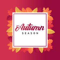 Autumn sale background layout decorate with leaves for shopping sale or promo poster and frame leaflet or web banner. Vector illustration template.