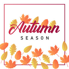 Autumn sale background layout decorate with leaves for shopping sale or promo poster and frame leaflet or web banner. Vector illustration template.