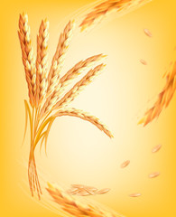 Nature background with ears of wheat. Vector.