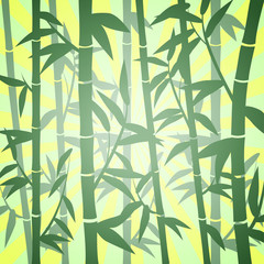 Obraz premium Bambusowy las na tle EPS 10