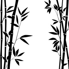 Bamboo forest for background EPS 10