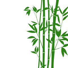 Bamboo forest for background EPS 10