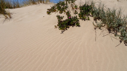 Lagos is an amazing resort on Algarve coast, Portugal, Rocks and beaches