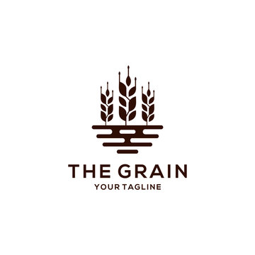 Grain Logo Design Vector Template