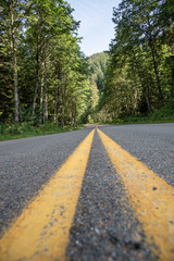 Mountain road double yellow line in lush green forest.