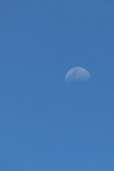 moon in dusk sky