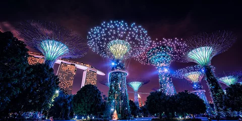Foto op Aluminium Gardens by the Bay in Singapore © Stockbym