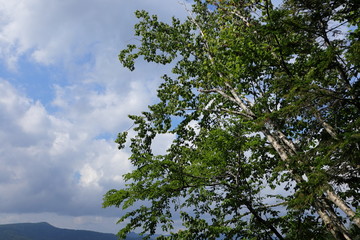 日本　北海道の阿寒湖