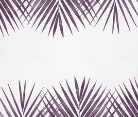 Palm tree on colorful background.