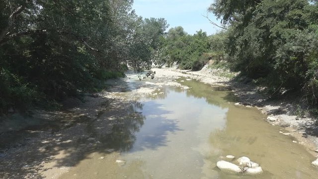 The bed of the mountain river became shallow after the flow of melt water. Floodplain deciduous forest. Northern Caucasia